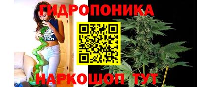 jwh Кандалакша