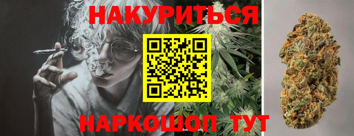 Каннабис OG Kush Кстово